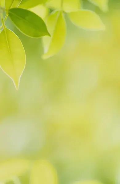spring-green-gallery-6