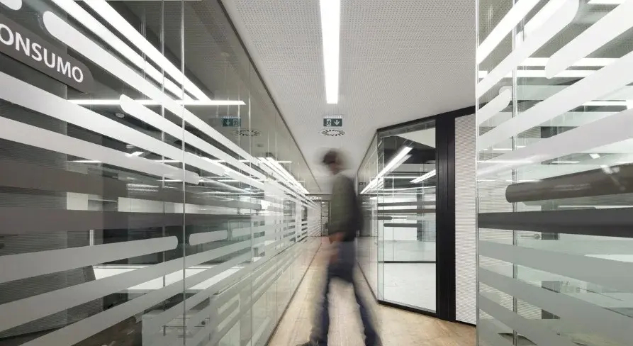 prolicht_dentaleader_075